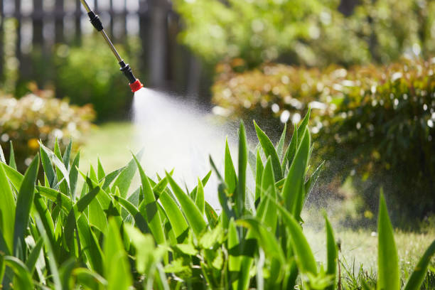 24/7 Emergency Ant Control experts in Volga, SD